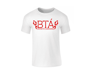Camiseta hombre - BTA DC