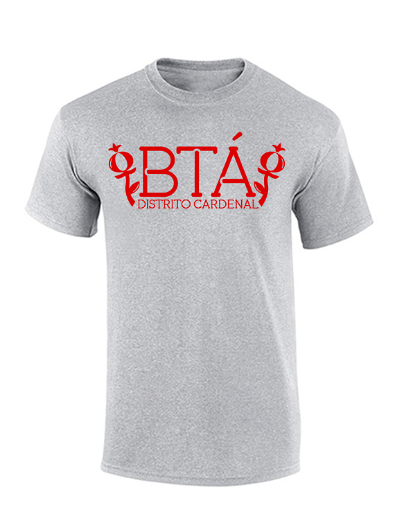 Camiseta hombre - BTA DC