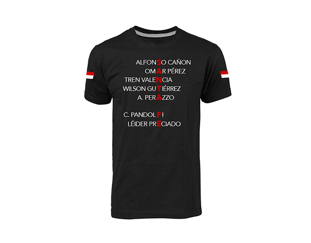 Camiseta hombre - SANTA FE 