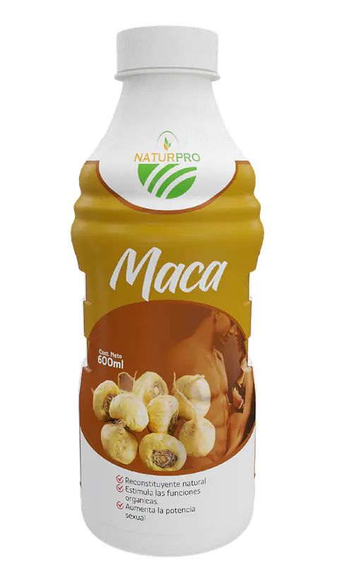 MACA