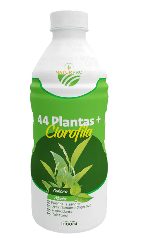 44 PLANTAS + CLOROFILA