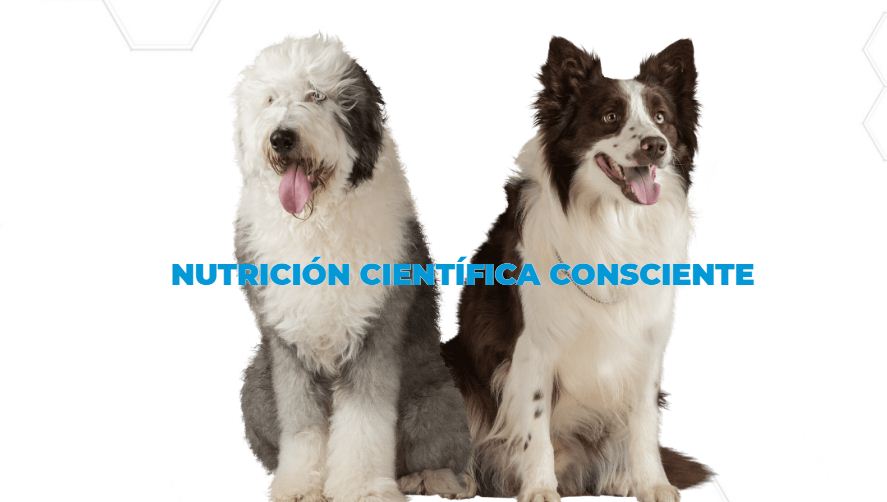 NUPEC PRODUCTOS DE ALTA CALIDAD PARA TUS MASCOTAS