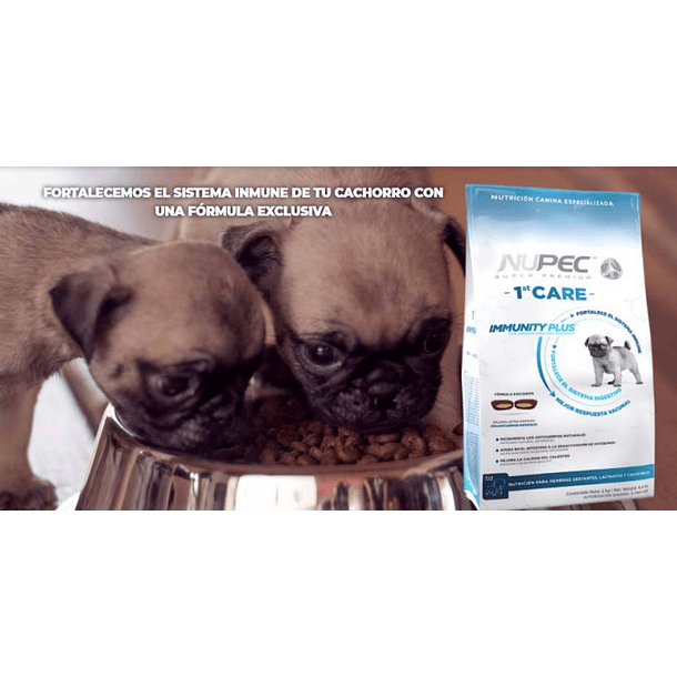 Alimento para cachorros First Care Nupec 2 Kg. ENVIO GRATIS 2