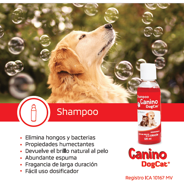 Shampoo para perros y gatos  2