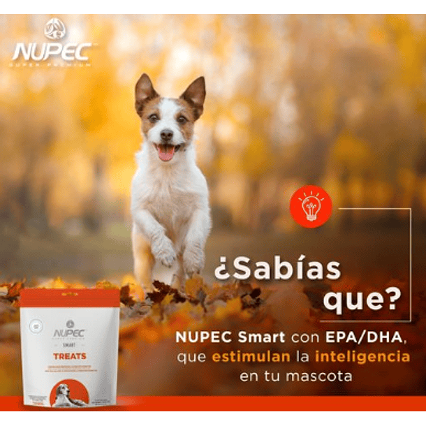 Galletas Premio Smart  Envio Gratis 