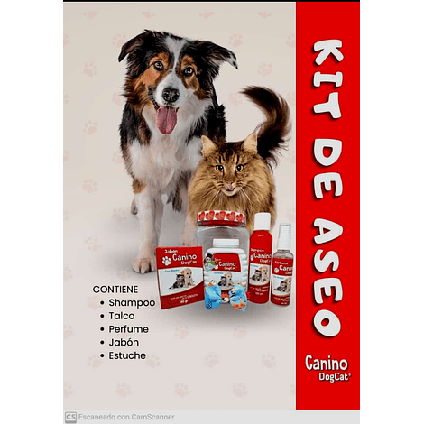 Kit Dog Cat 4 productos 