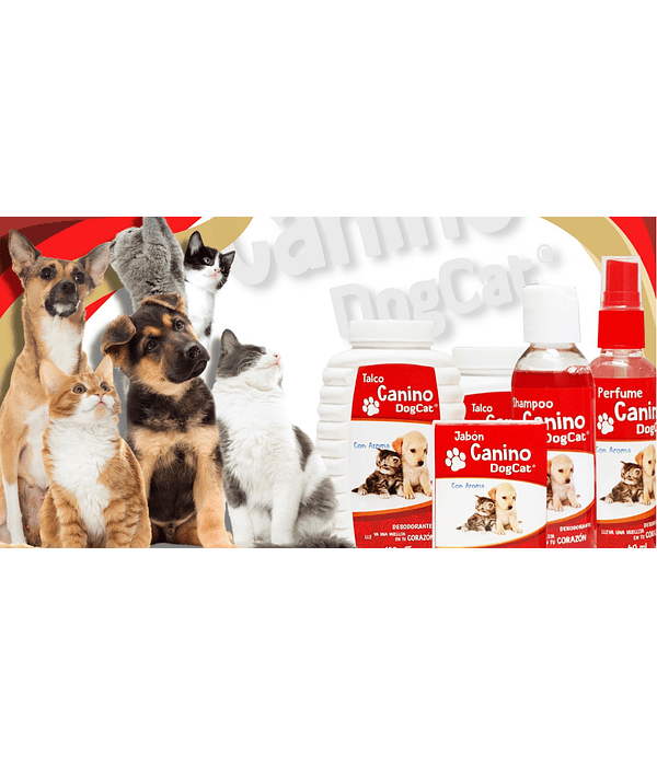 Kit Dog Cat 4 productos 
