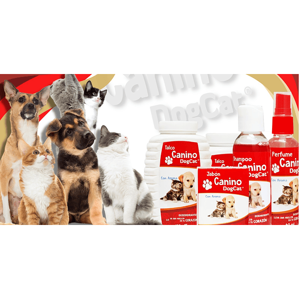 Kit Dog Cat 4 productos  3