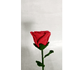 Tres Rosas, ganchillo crochet