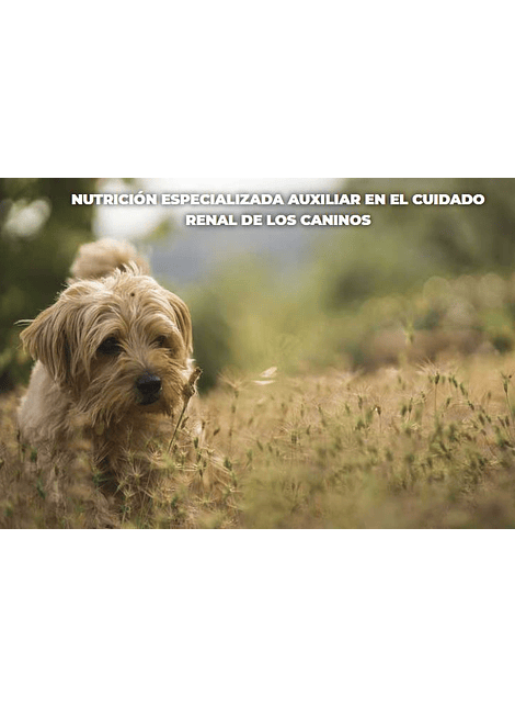 Nupec Renal Care -Alimento para cuidado renal canino -ENVIOS GRATIS