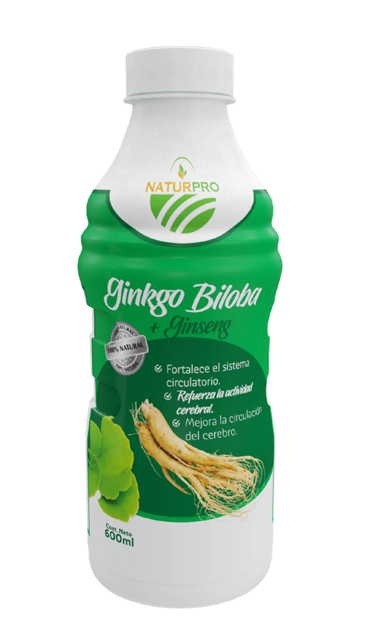 GINKGO BILOBA 1