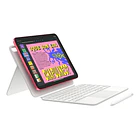 Apple Ipad 11