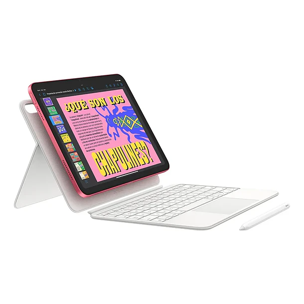 Apple Ipad 11