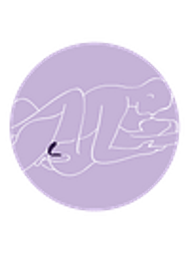 Satisfyer Partner Plus 2