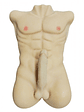 Torso Masculino - Miniatura 1