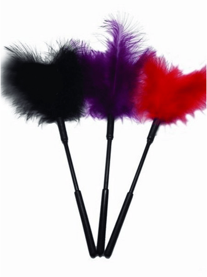 PLUMA TRAVIESA UNIDAD 1