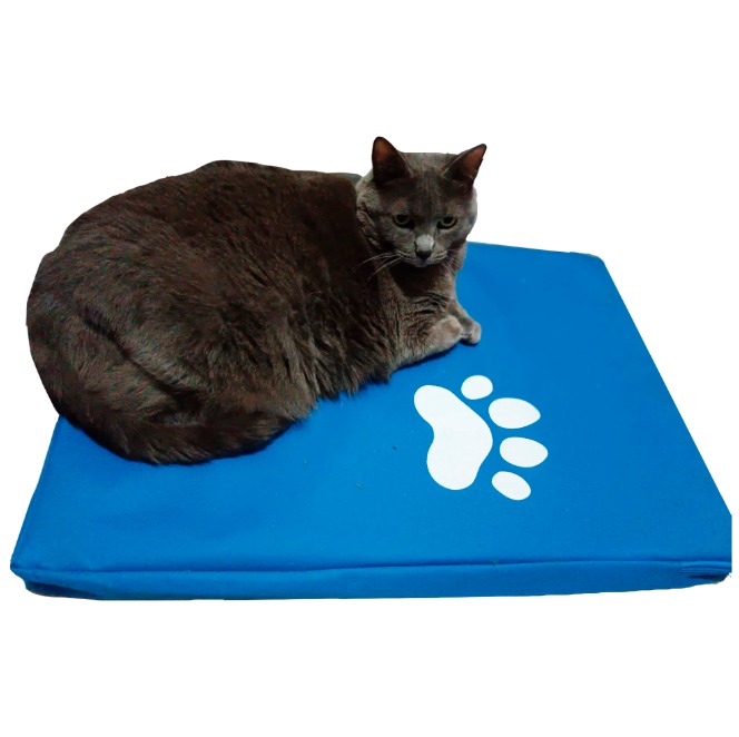 Colchoneta Mascota Mediana azul 60cm x 84cm 2