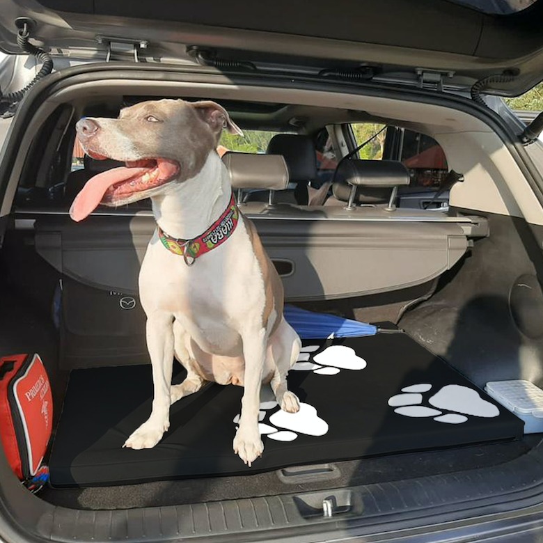 Colchoneta mascota Grande negra 76cm x 1m  4