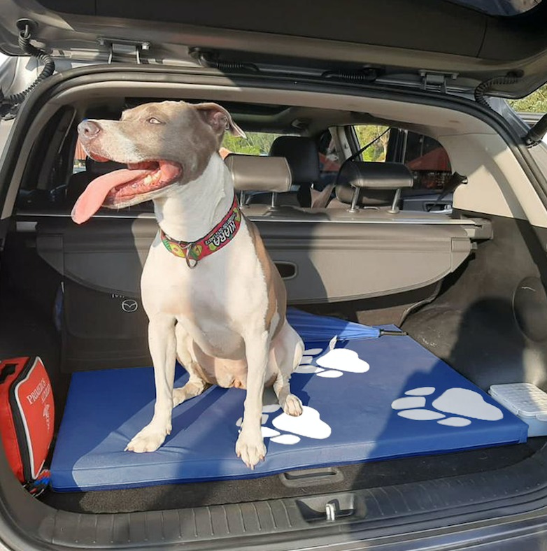 Colchoneta Mascota Grande azul 76cm x 1m 1