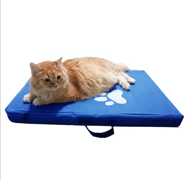 Colchoneta Mascota pequeña azul 39cm x 60cm 2