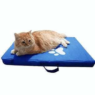 Colchoneta Mascota pequeña azul 39cm x 60cm