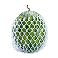 Rollo Malla 10 cm x 15m  2