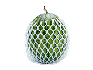 Rollo Malla 10 cm x 15m 