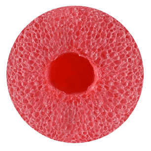 Flotador de Espuma Rojo 7cm x 150 cm