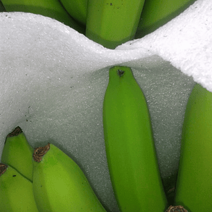 Protector 5mm Blanco 50 cm x 35 cm  Pqt x 500 und (87,5 m²)