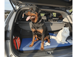 Colchoneta Mascota Grande azul 76cm x 1m