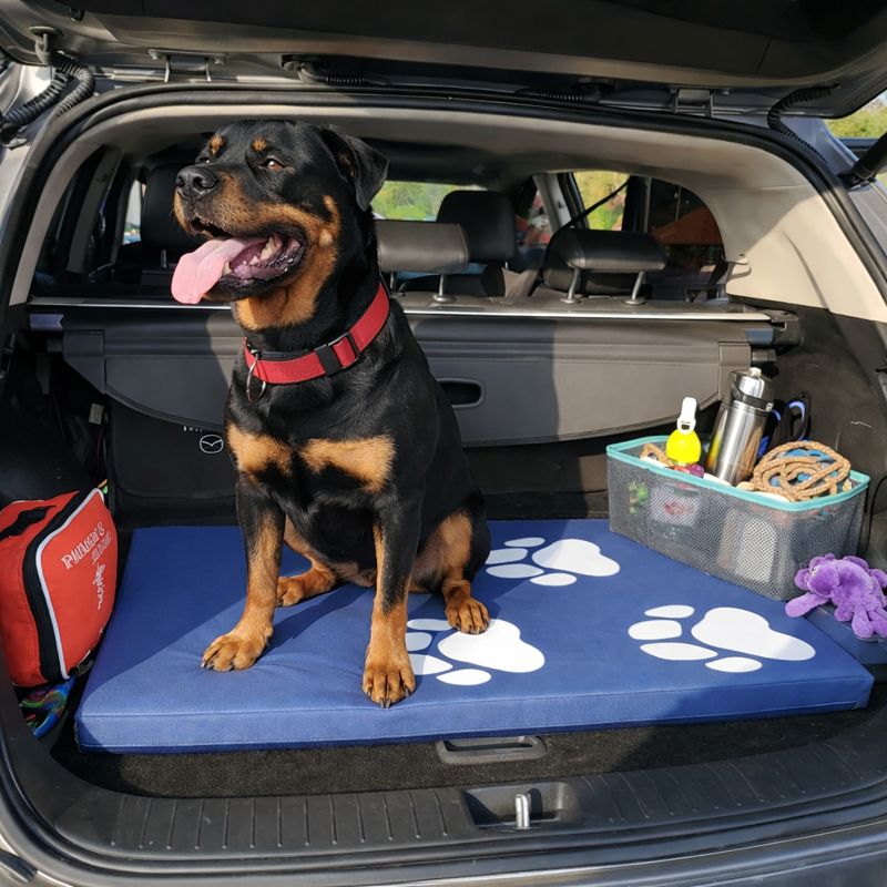 Colchoneta Para Mascota Grande Azul 100cm x 76cm x 5cm 3