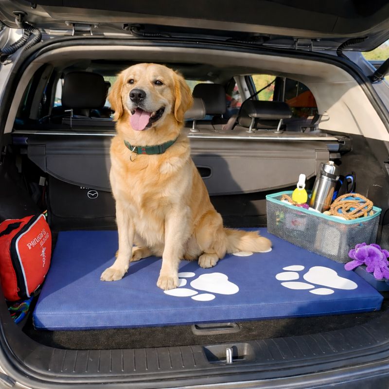 Colchoneta Para Mascota Grande Azul 100cm x 76cm x 5cm 4