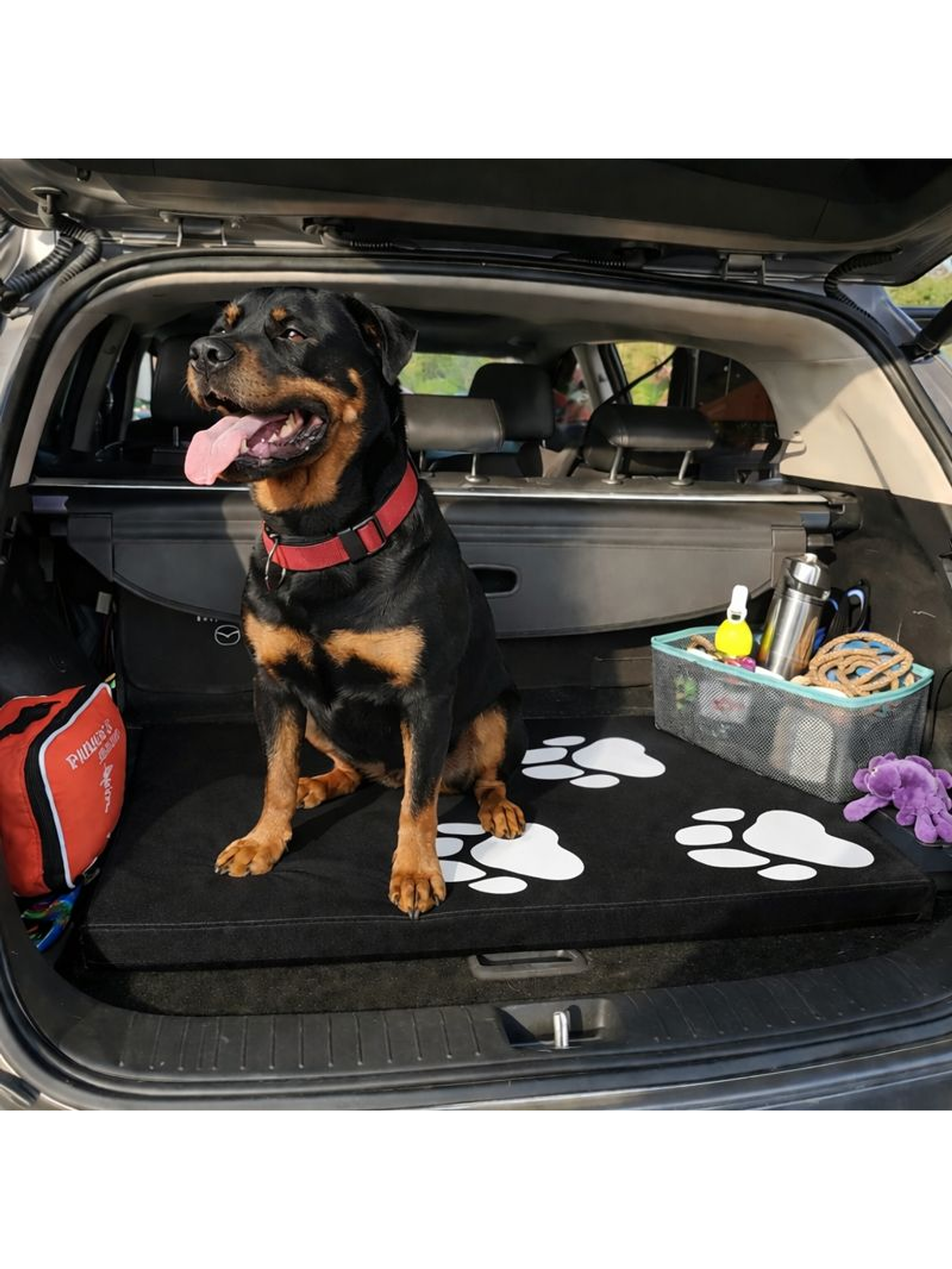 Colchoneta Para Mascota Grande Negra 100cm x 76cm x 5cm 3