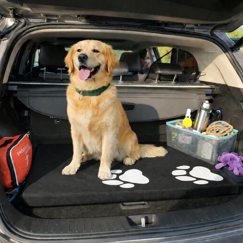 Colchoneta Para Mascota Grande Negra 100cm x 76cm x 5cm 4