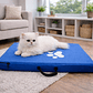 Colchoneta Para Mascota Pequeña Azul 60cm x 39cm X 5cm - Miniatura 3