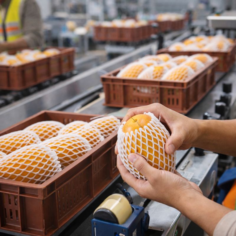 Rollo Malla 10 cm x 15m  3