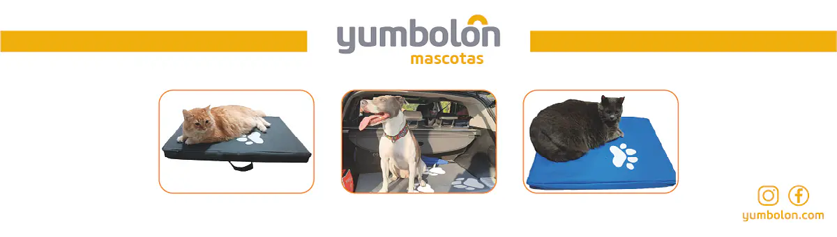 Título del banner