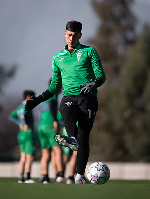 Polerón de salida JOMA 2026 verde