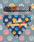 Pack Bandana Patitas Colores
