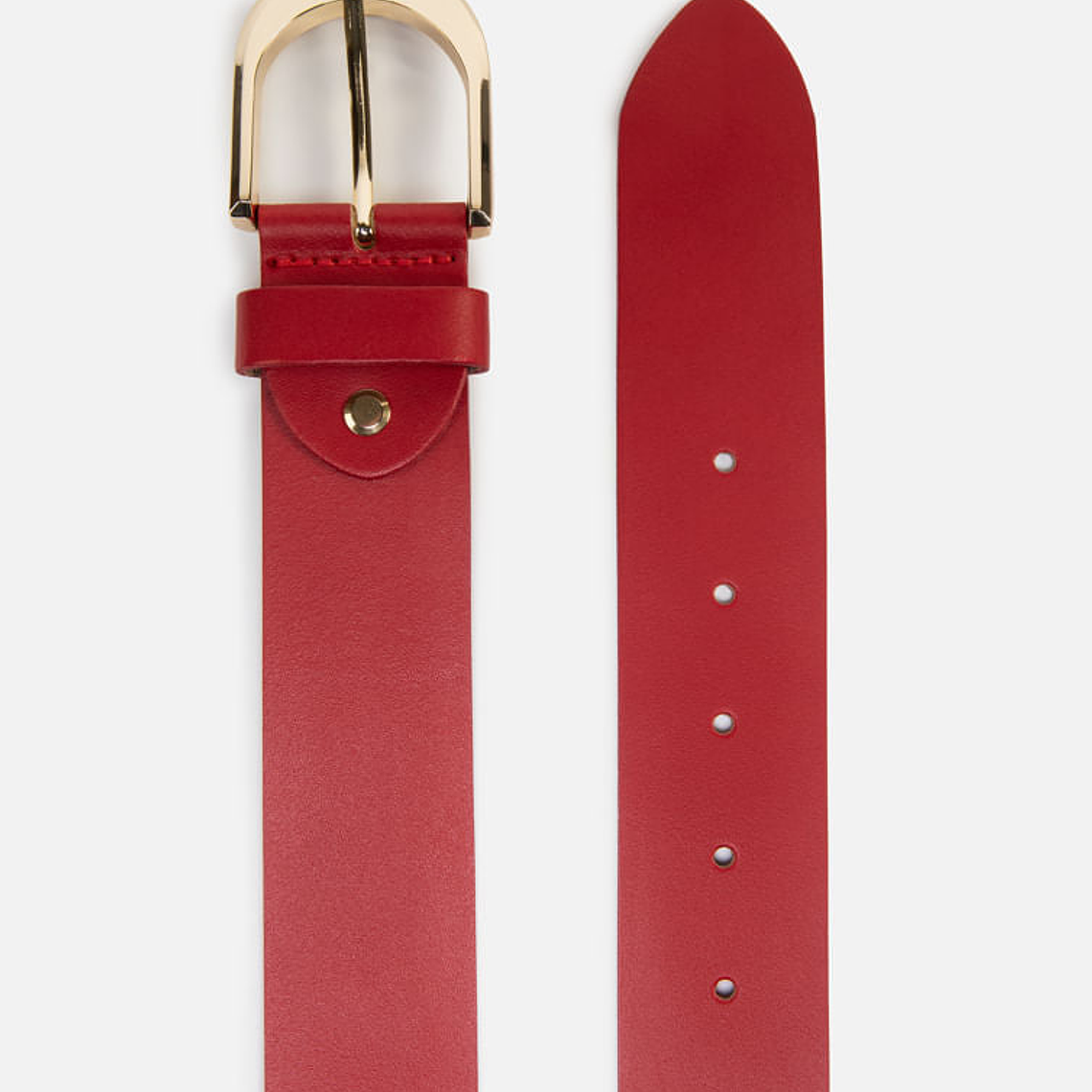 CORREA GOLDEN CURVE 2