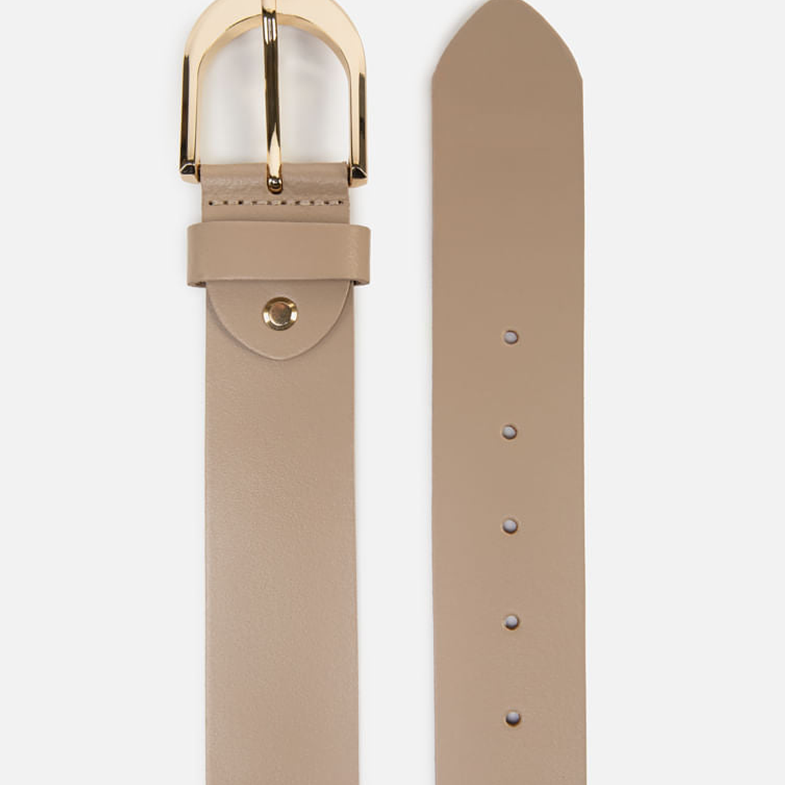 CORREA GOLDEN CURVE 2