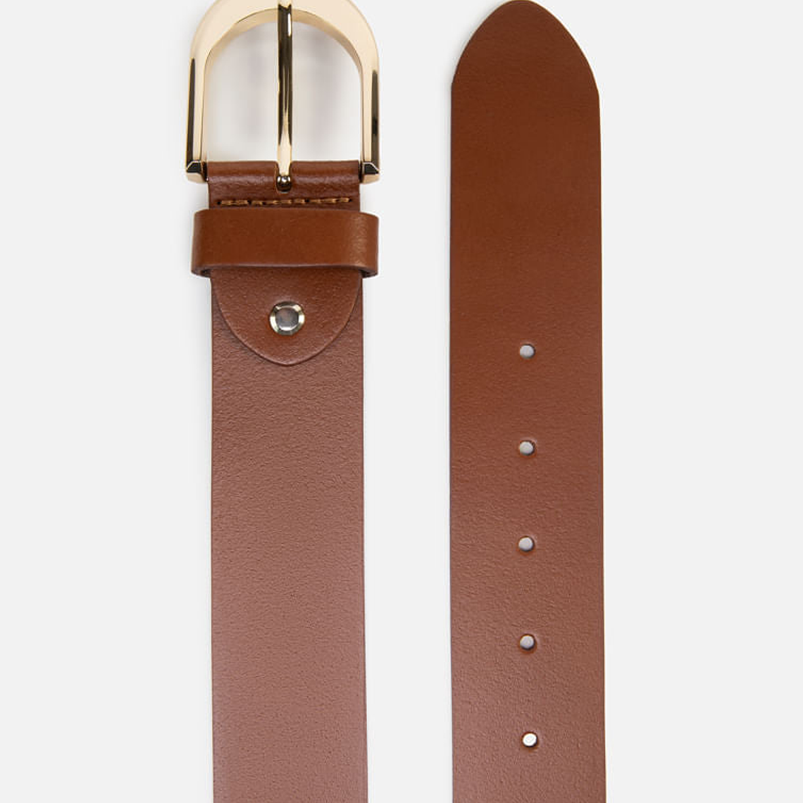 CORREA GOLDEN CURVE 2