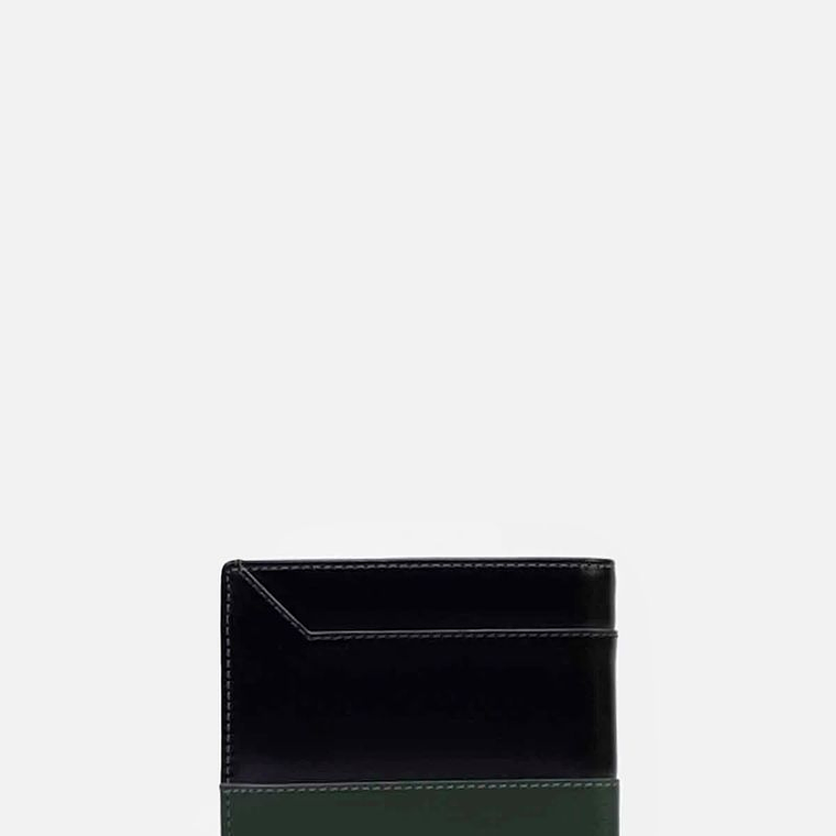 BILLETERA COLORATO 2