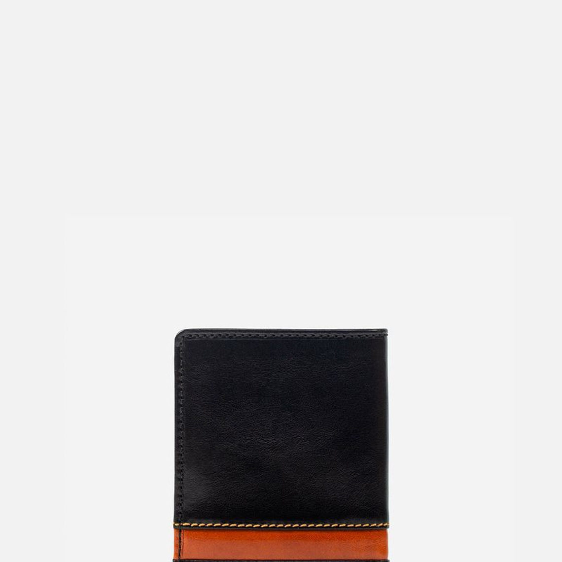 BILLETERA DE ESTILO CASUAL EN CUERO ITALIANO Y DETALLES EN CONTRASTE 2