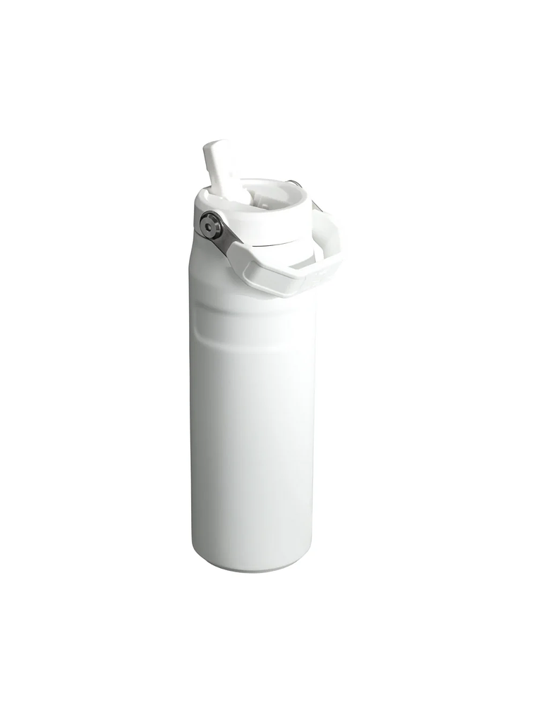 AEROLIGHT FLIP STRAW 710 ML POLAR 3