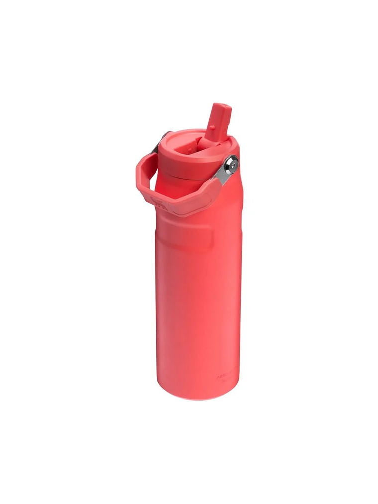 AEROLIGHT FLIP STRAW HOT CORAL 710 ML 2