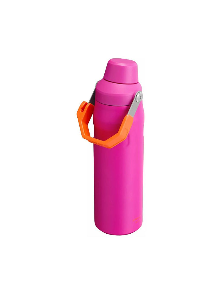 BOTELLA AEROLIGHT VIVID VIOLET 710 ML 2