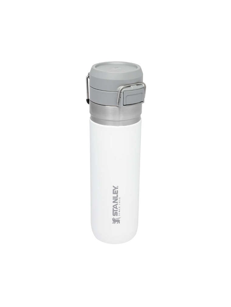 FLIP GO BOTTLE  710 ML FROST 1