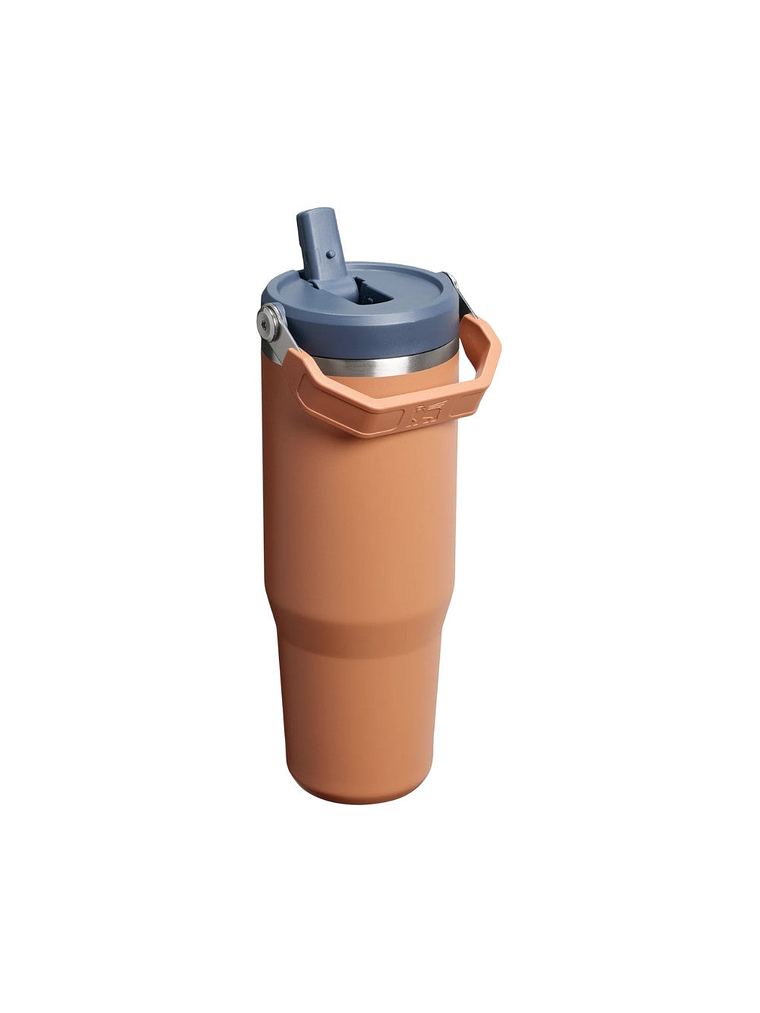 FLIP STRAW TUMBLER TOAST 887 ML 2