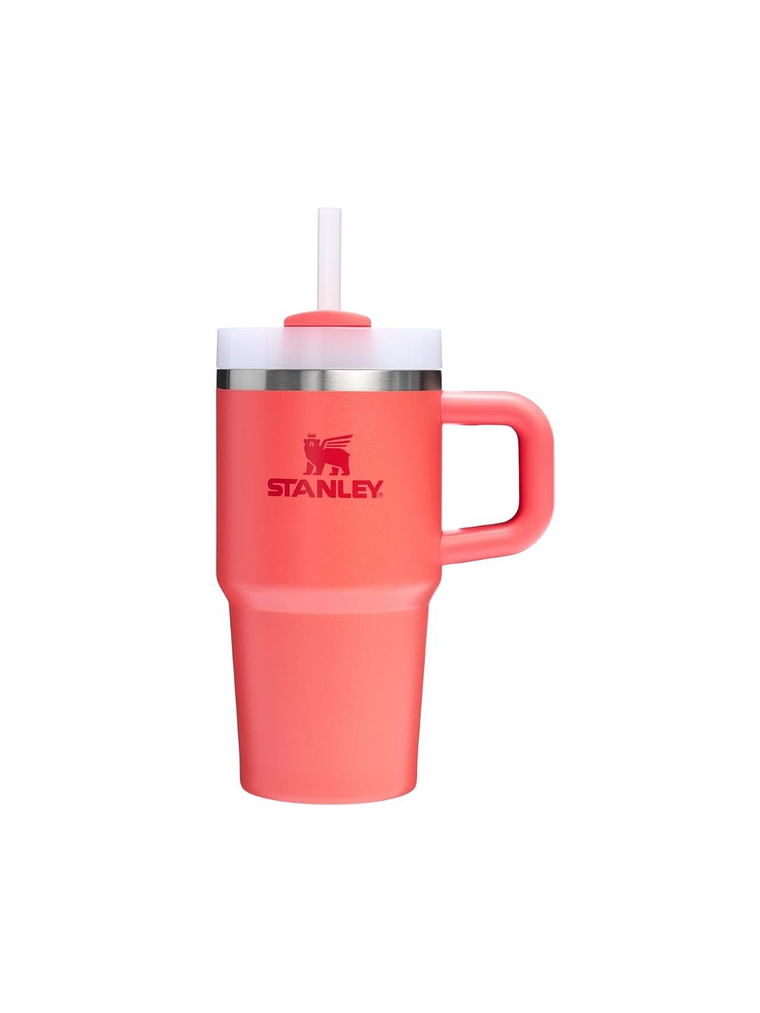 MINI QUENCHER HOT CORAL 591 ML 1